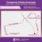 ruta violeta new