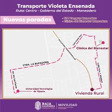 ruta violeta new